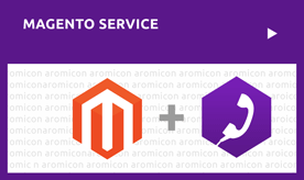 Magento Support Service