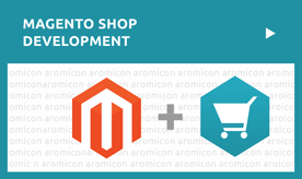 Magento Shop Development